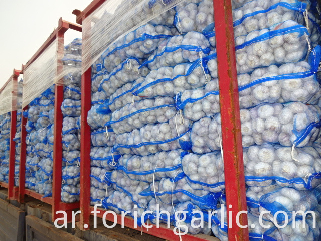 Best Quality Fresh Normal Garlic 5 0cm